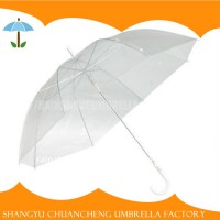 Fashionable Style Sublimation clear Blank Transparent Umbrella